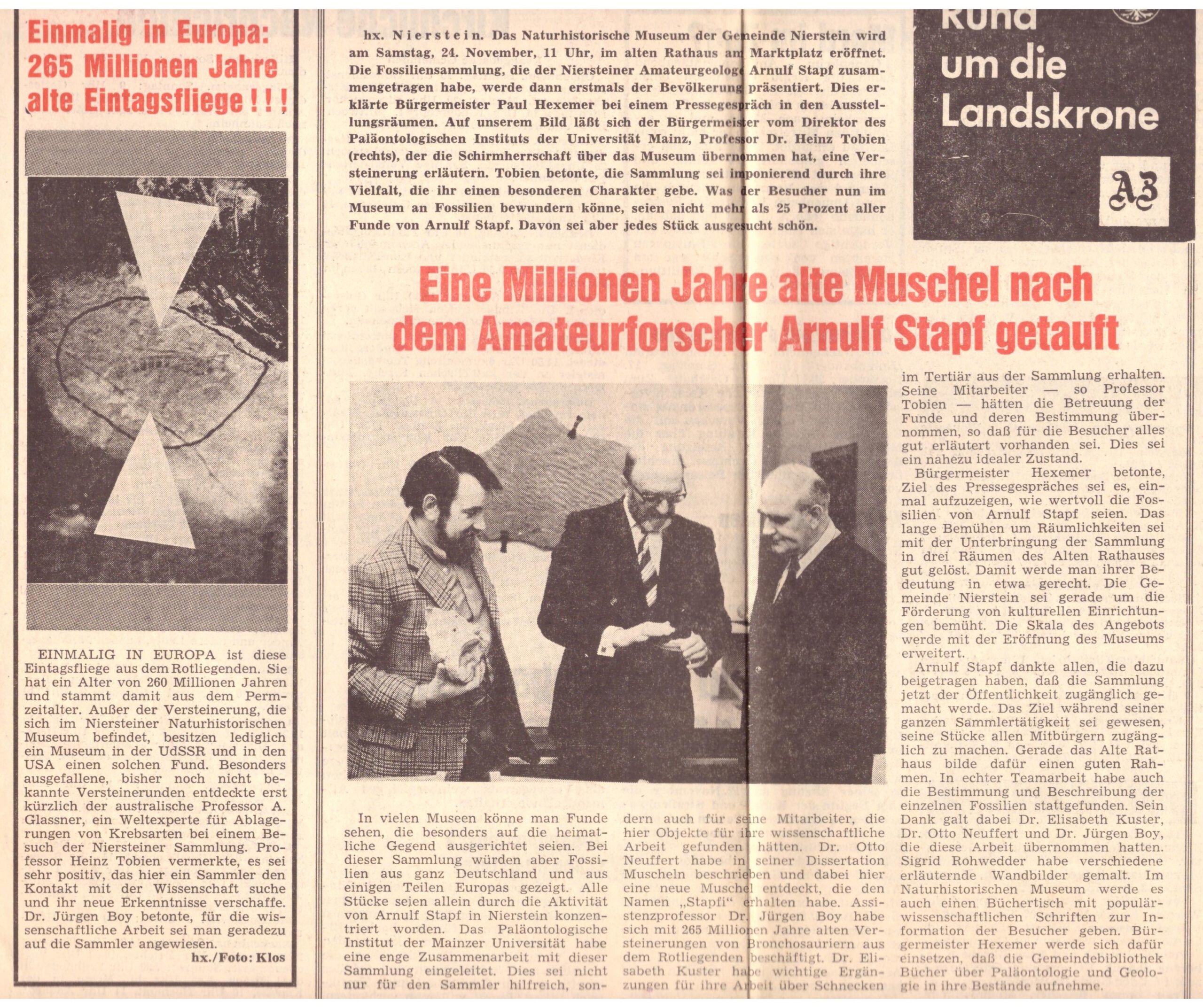 Aus dem Bericht in der ersten Spalte dieser Seite (der Allgemeinen Zeitung vom 17. November 1973) ist zu entnehmen, dass der Schirmherr des Museums, Professor Heinz Tobien (damaliger Direktor des Paläontologischen Instituts der Universität Mainz), Arnulf Stapf für seine Kontaktsuche mit der Wissenschaft lobte. 