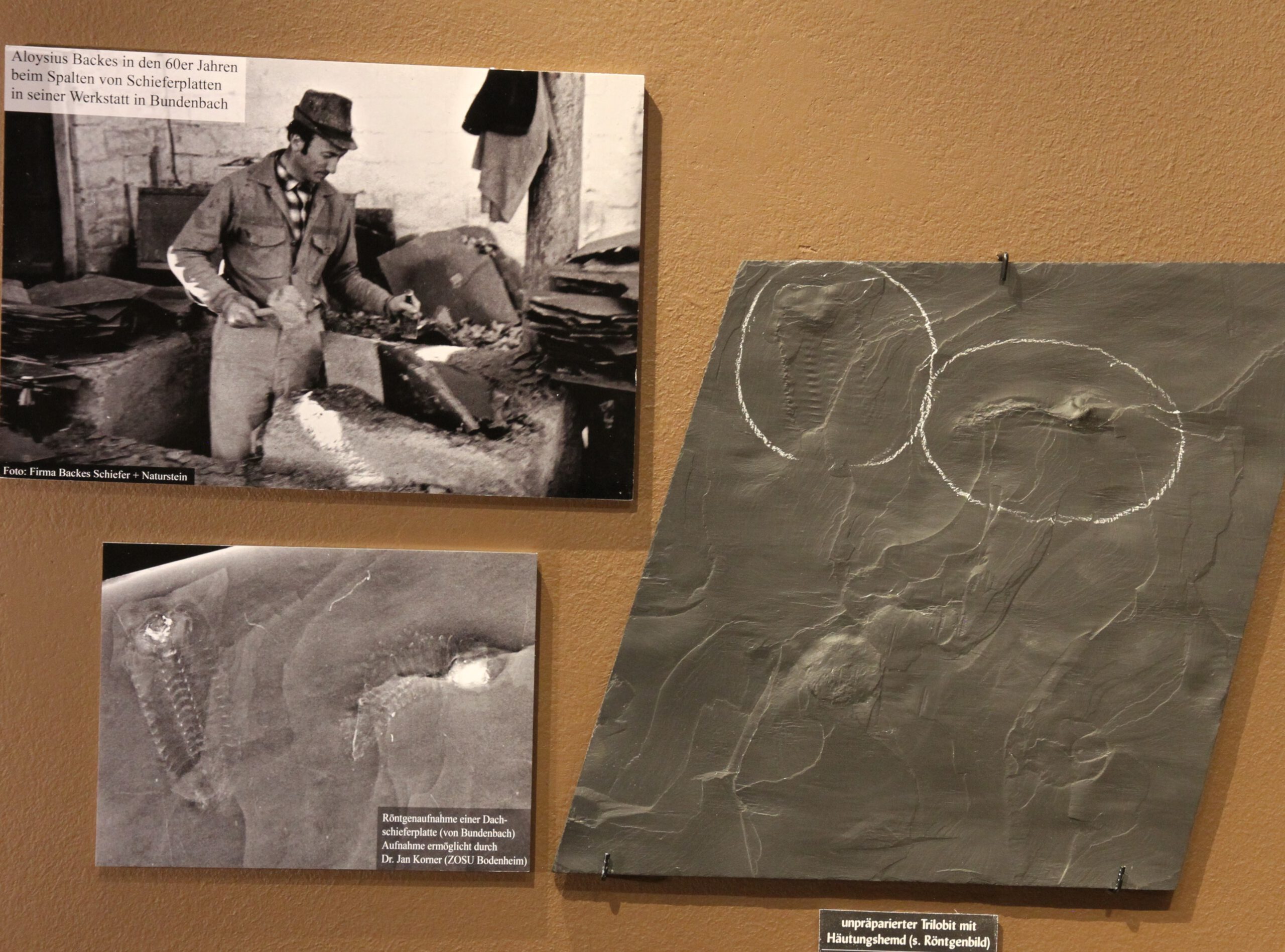 An der Ausstellungswand: Foto mit Schieferspalter neben unpräparierter Schieferplatte und dazugehöriger Röntgenaufnahme